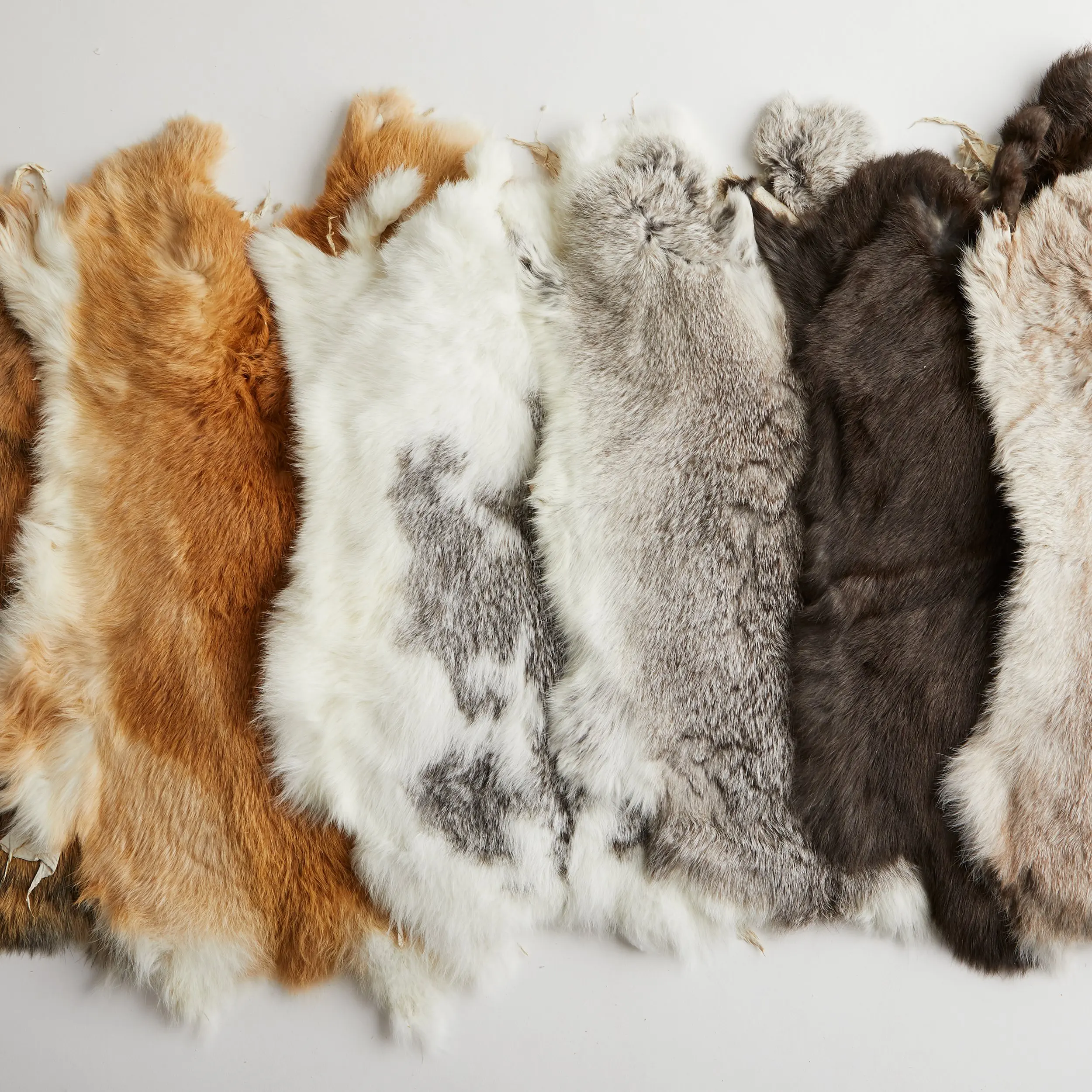 
Rabbit Skin 100% Genuine Rabbit Fur Rabbit Pelt For Sale 