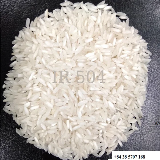 504 RICE 5% BROKEN/ MANUFACTURER IN VIETNAM/ LONG GRAIN WHITE
