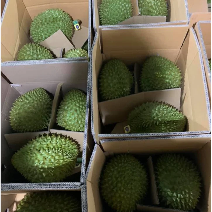 
Fresh Durians Vietnam for export with BEST PRICE FOR EXPORT 