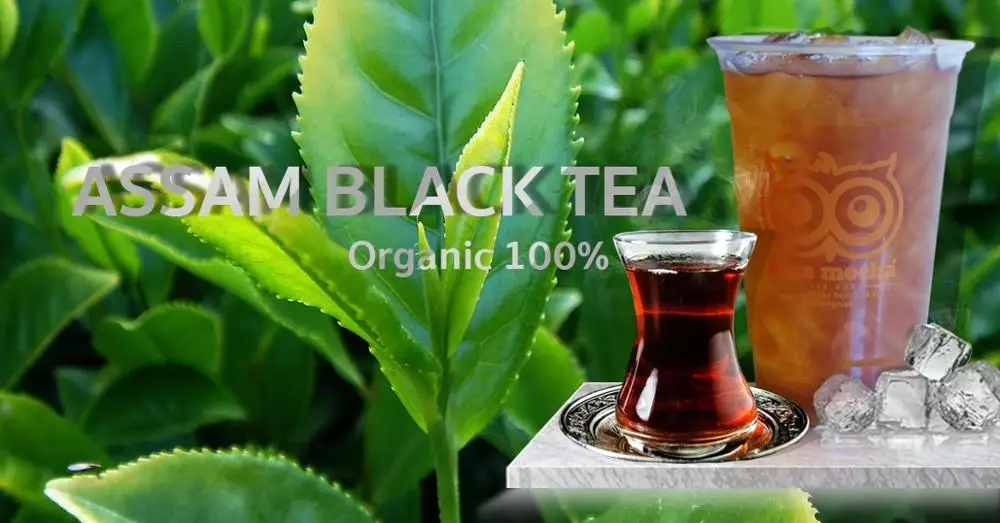 
Factory and Wholesale Assam Black Tea loose tea leaf Premium black tea OEM Thailand 