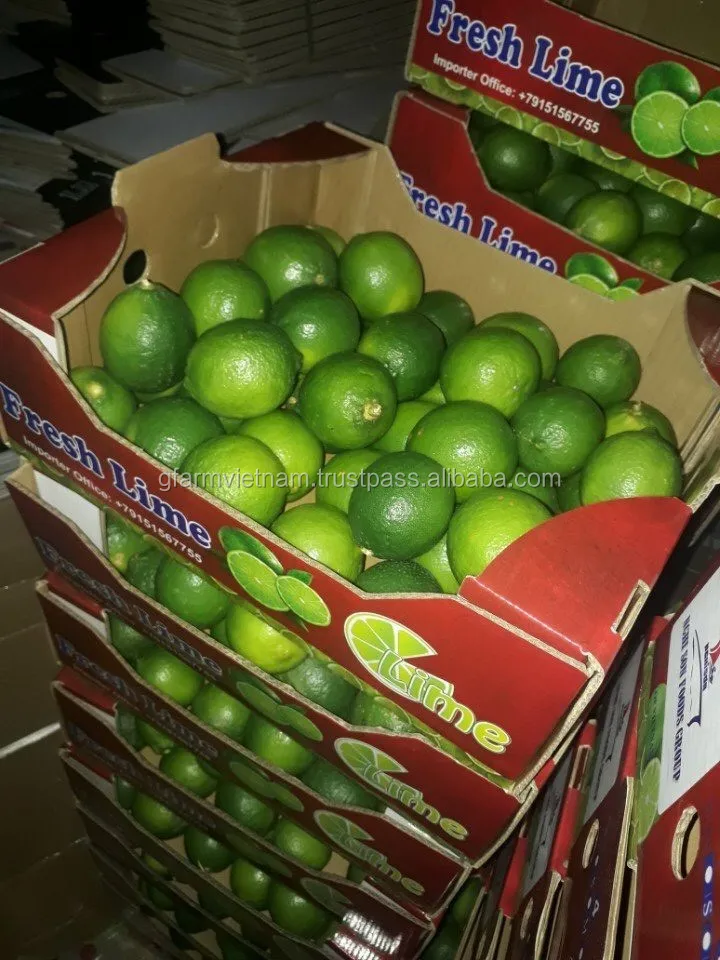 
Price 2020 for green lime export good quality 