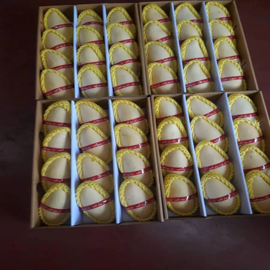 
Best Selling Premium Quality Yellow Sweet Taste Namdokmai FRESH MANGO From Thailand 