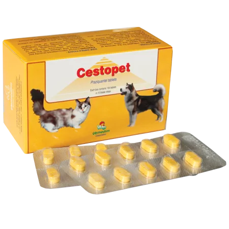 Cestopet (1)