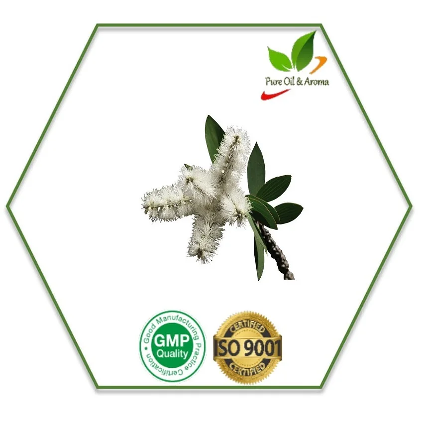 aromatherapy oil niaouli essential oil in bulk at best price
