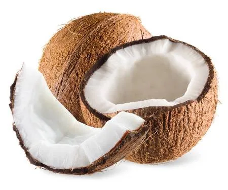 Wholesale Vietnamese  good quality 100% Matured Dried SEMI HUSKED COCONUT