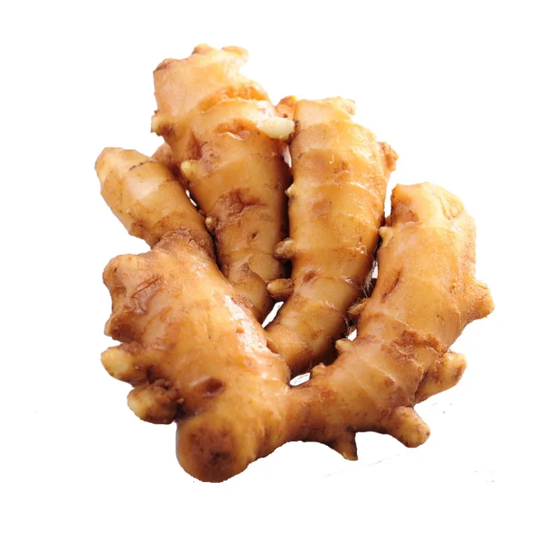 
Shandong fresh ginger for export 