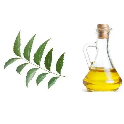 Multiuse Pure & Natural Karanja Seed Oil