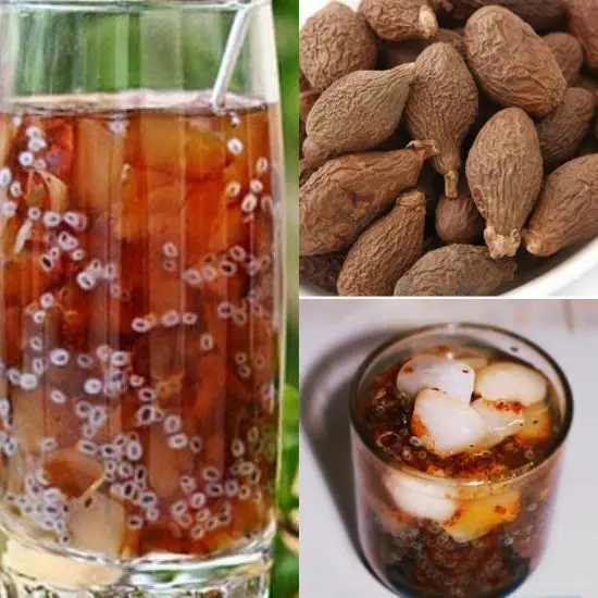 
High Delicious Organic Malva Nuts/Pang Da Hai tree Wholesale - Ms.Jessica +84 941 842 405 