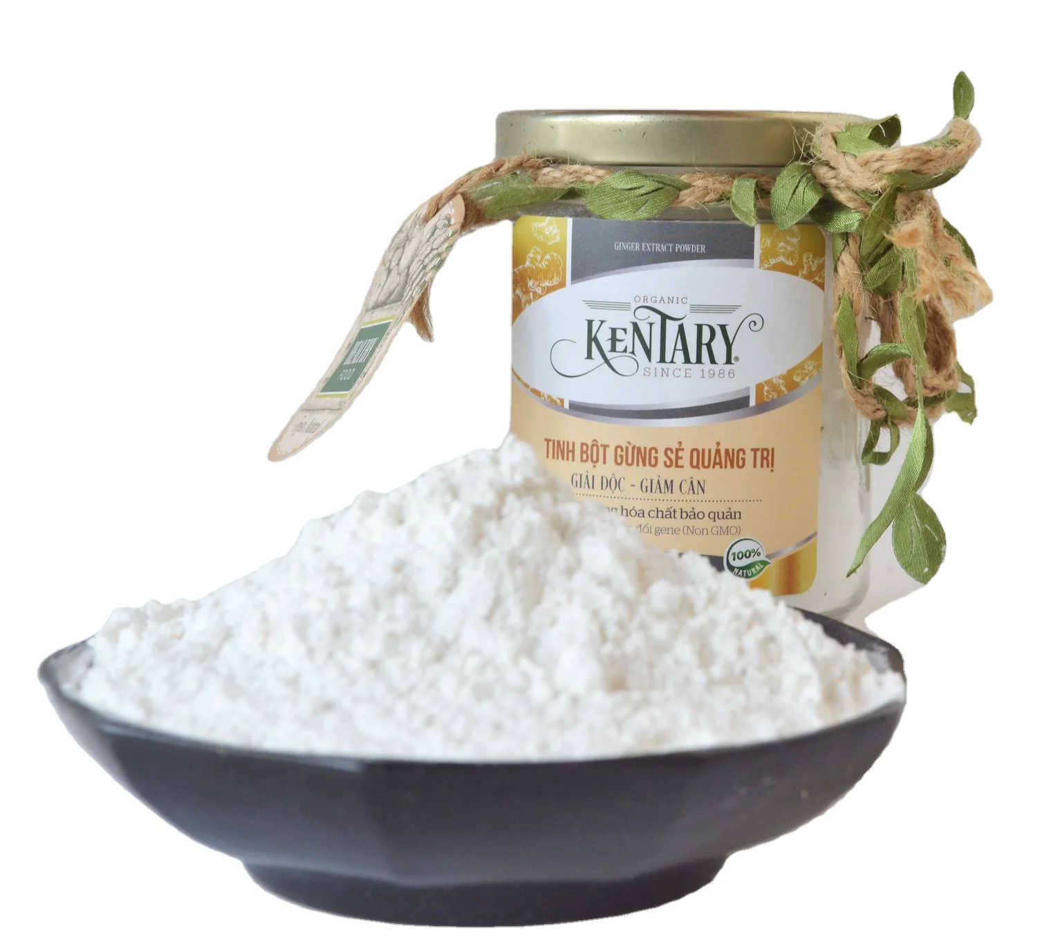 Ginger Extract Powder for Nausea Stomach Intestinal Cardiovascular Health Hight Quality Best Price Made in Vietnam