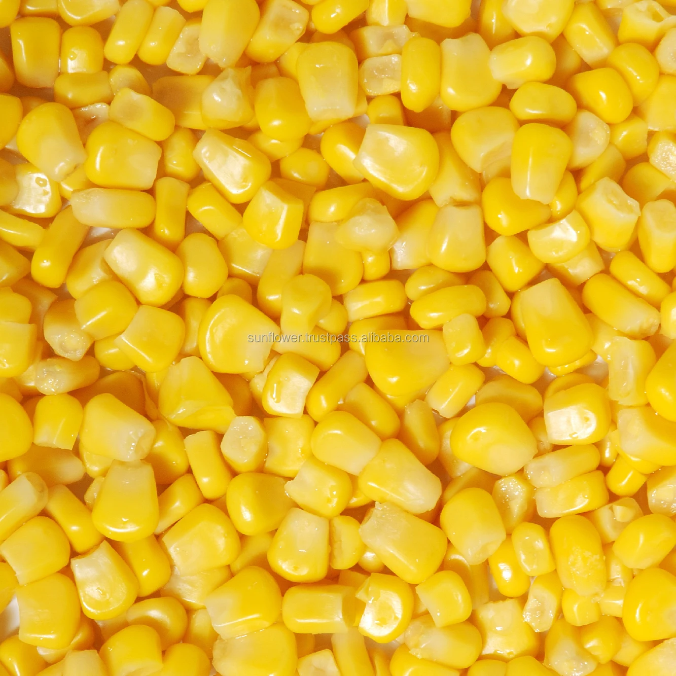 
Canned Whole Kernel Sweet Corn In Brine Premium Quality from Thailand 