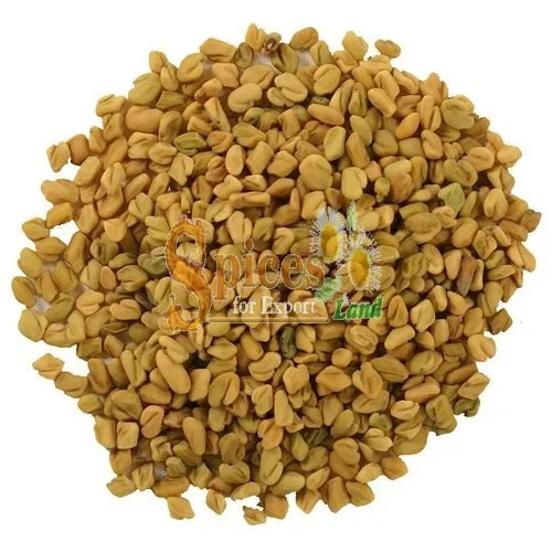 
Dried Fenugreek Seeds Natural 2020 