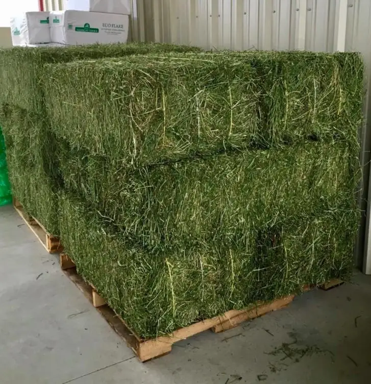 
High Quality Animal Feed Alfalfa Hay 