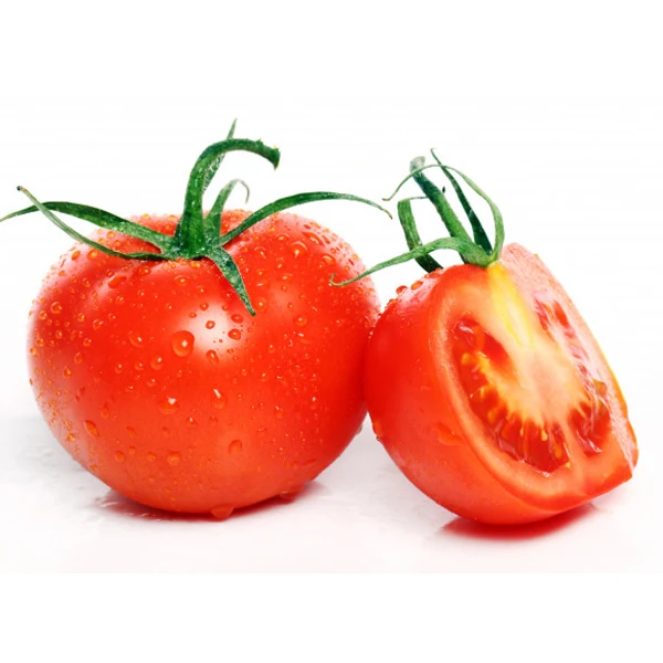 Fresh Red Tomato / Fresh Tomato from India / Fresh Green Tomatoes