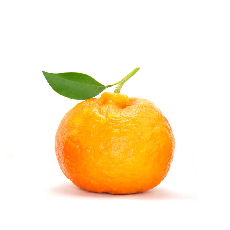 Свежий мандарин