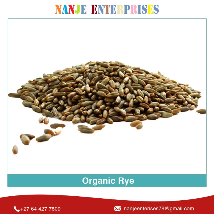 2022 Latest Crop New Arrival Dried Agriculture Grain Organic Rye at Wholesale Price