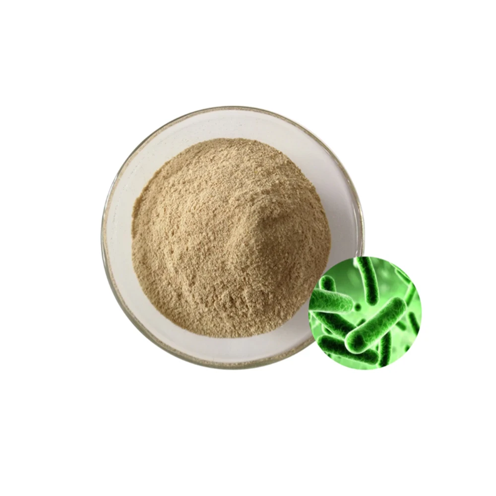 
Factory Supply Bacillus Coagulans Probiotics Manufacturer - Zealmax Biopharma 