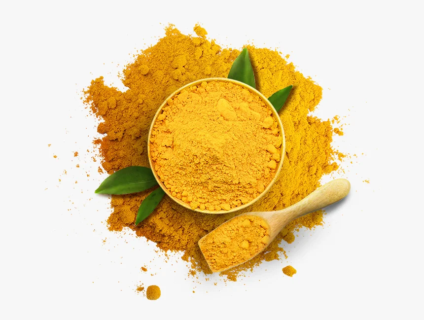 Tumeric, Fresh Tumeric, Dried Tumeric Finger. Single Herbs & Spices Ginger & Turmeric Raw Elongated HACCP ISO