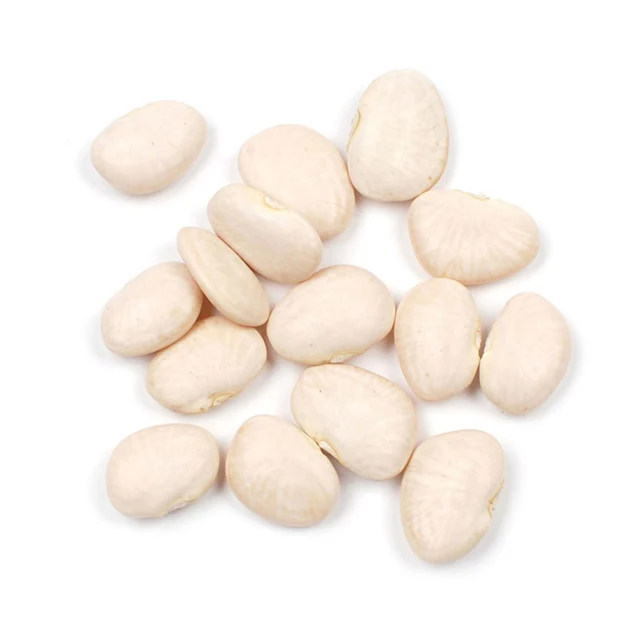 
High Quality White Kidney Bean For Export Red Kidney Beans Organic And Wholesale! New Crop White Kidney Beans 