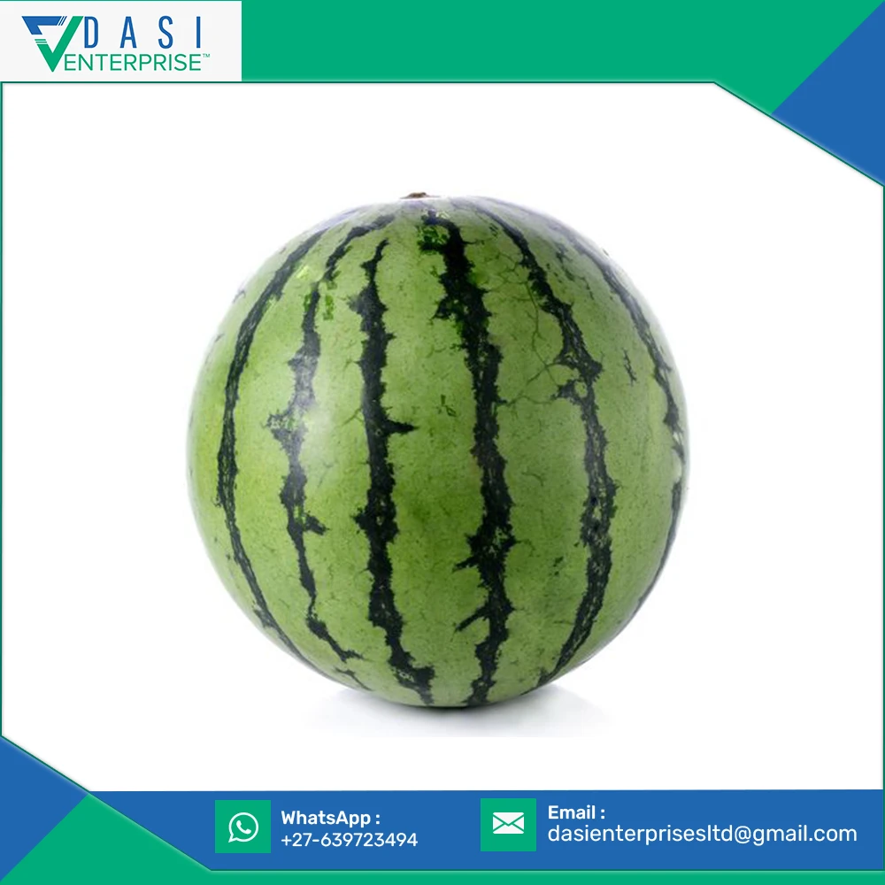 Healthy Beneficial Direct Factory Sale of Natural Fleshy Green Watermelon Fruit For Daily Eatable At Good Price