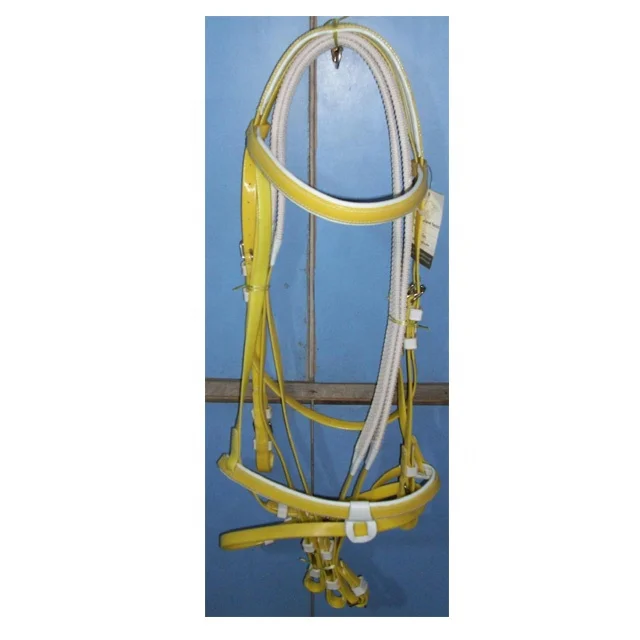 HORSE REIN & BRIDLE.