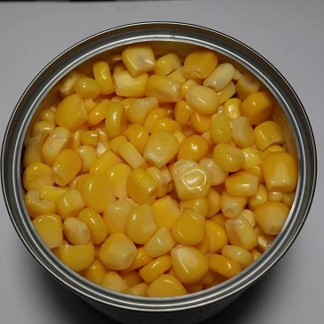 
Golden corn kernel sweet corn 