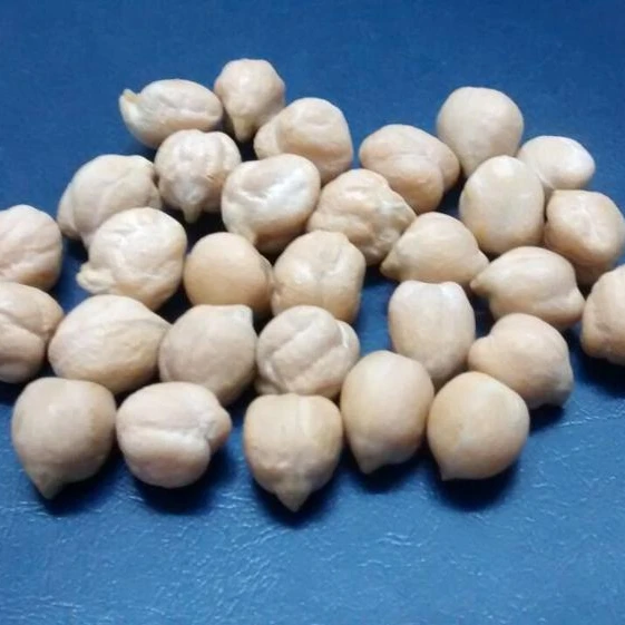 KABULI CHICK PEAS BIG SIZE