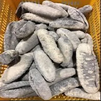 Premium Quality Dried Wild Sea Cucumber For Cheaper rates..