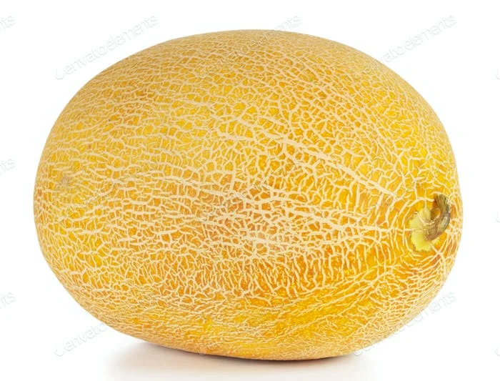 Fresh Melon