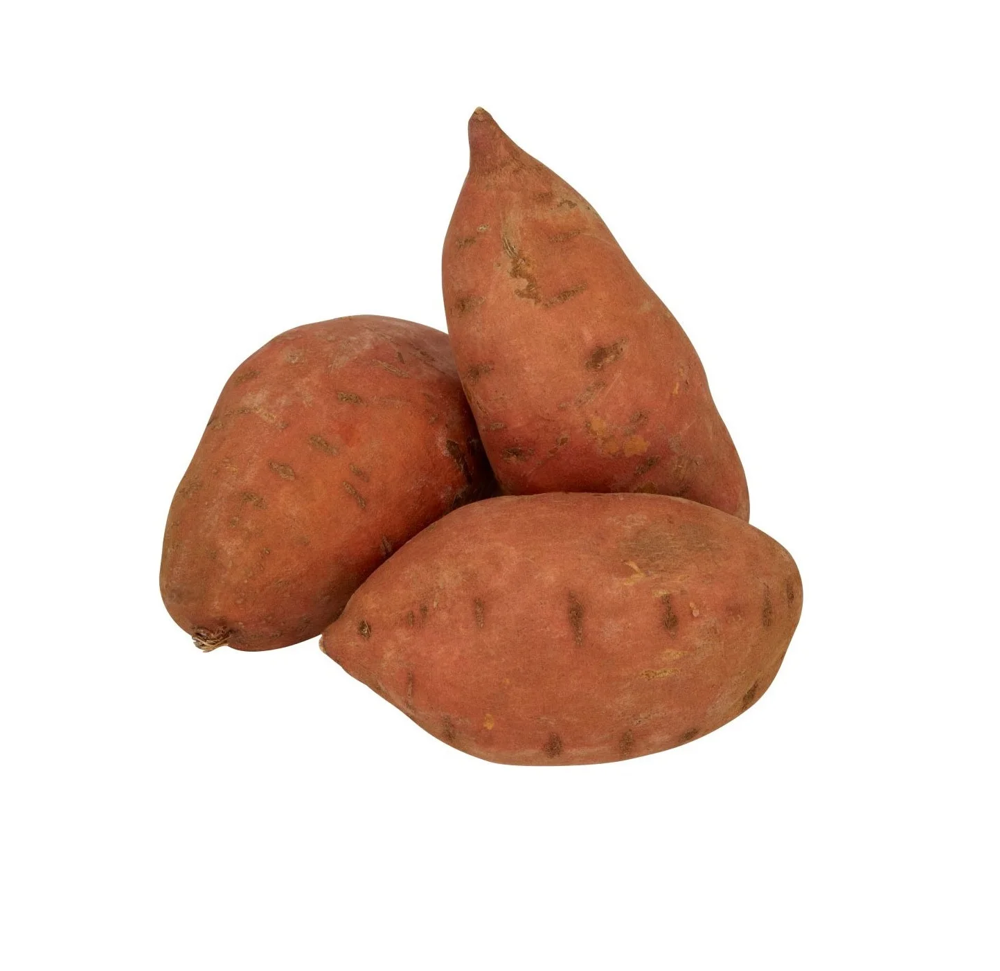 Best Quality Wholesale Sweet Potatoes For Sale In Cheap Price