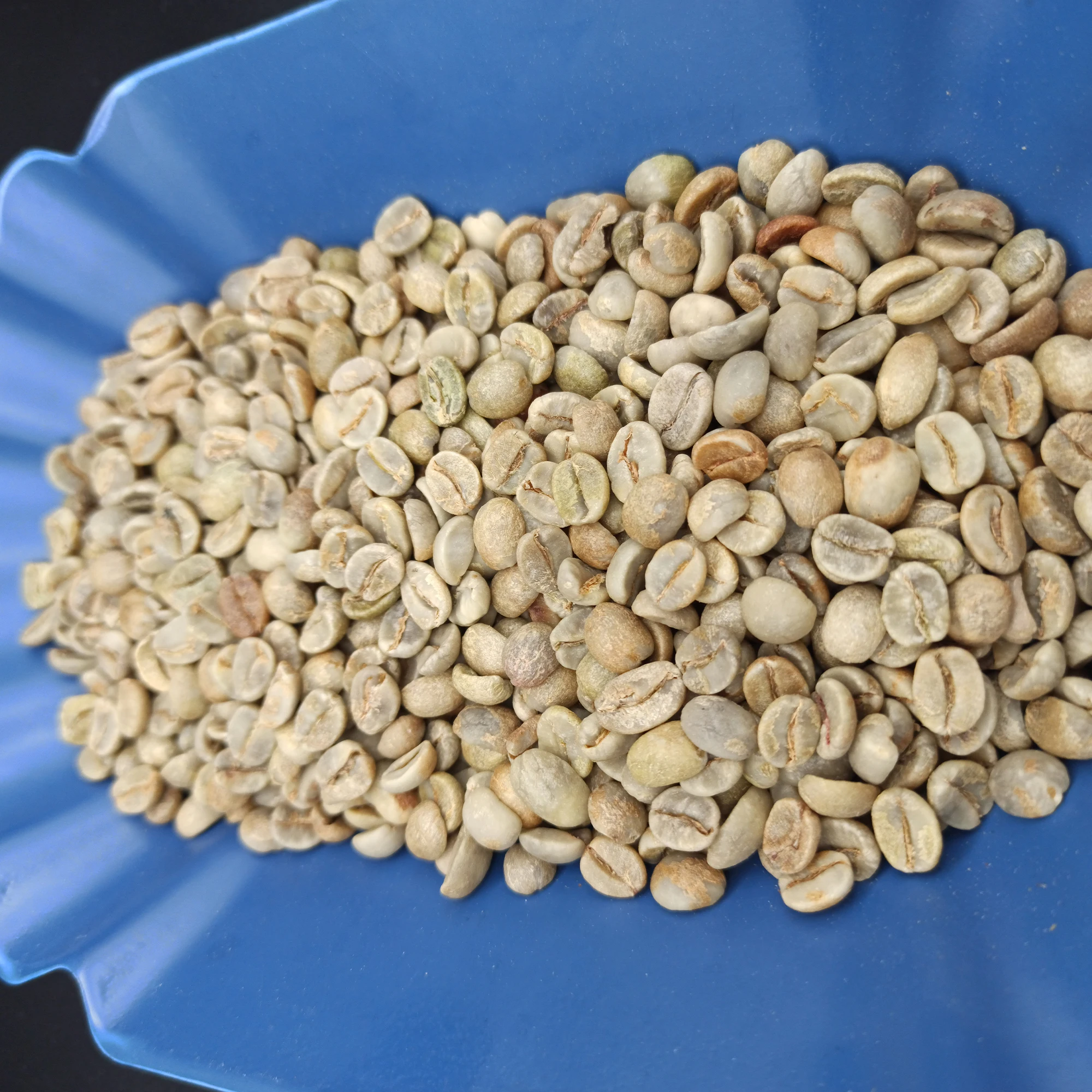 
EthioCo GmbH (Ltd) - Brazil Rio Minas 17/18 NY2/3 Normal Cup - Turkish Mokka / Turk Kahvesi Fair Coffee 