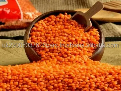 Split-Lentils.jpg