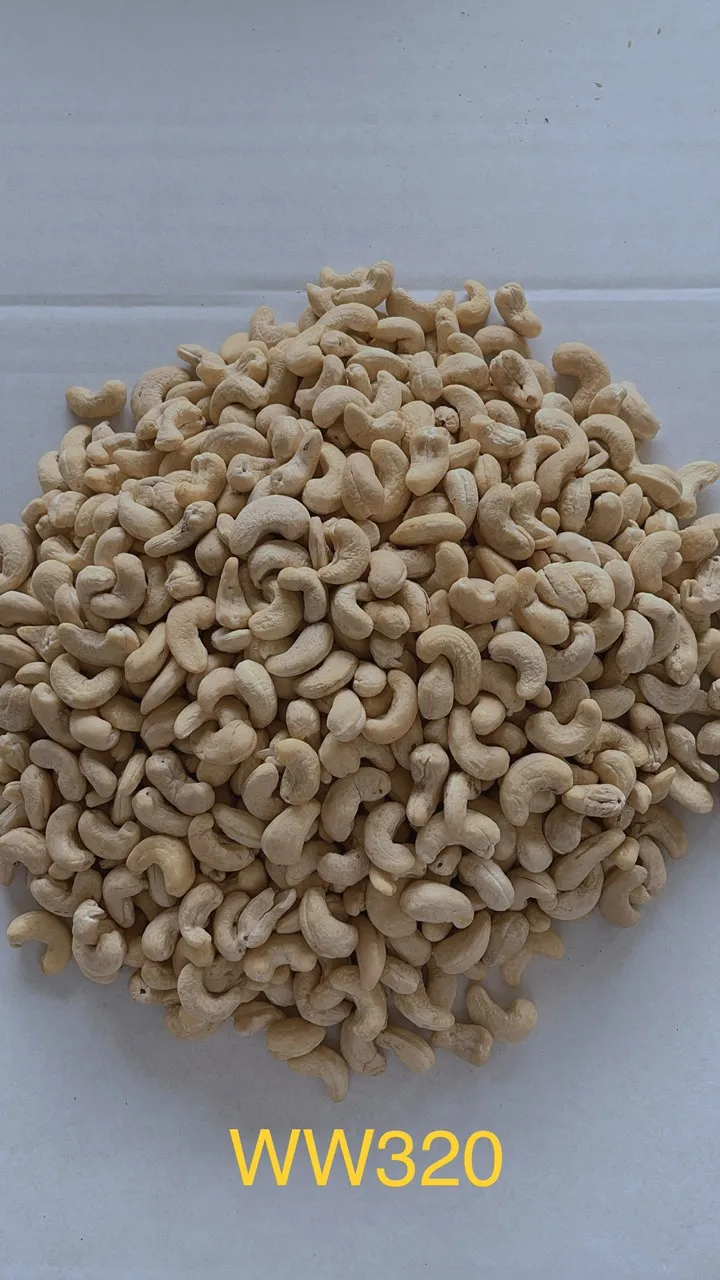 Cashew nuts ww320 hight quality