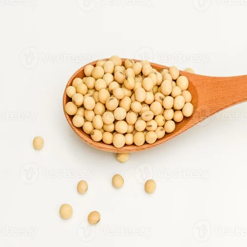 Соевые бобы NON-GMO укороченный высококачественного соевого оптовая продажа