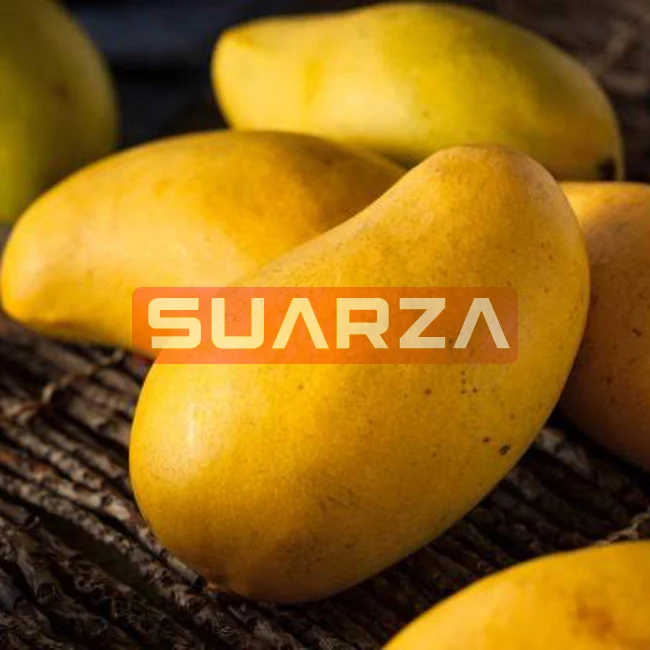 Fresh mango/Gold honey mango Namdokmai high quality topical mango exporter from Pakistan  to  all over the world