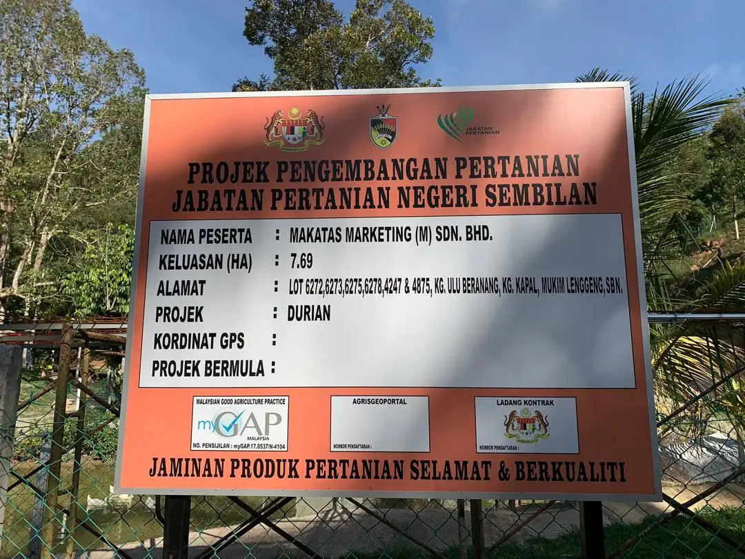 Top Quality Export Black thorn  Tekka Malaysia Pure Durian Fruit Pulp Frozen D160 300g