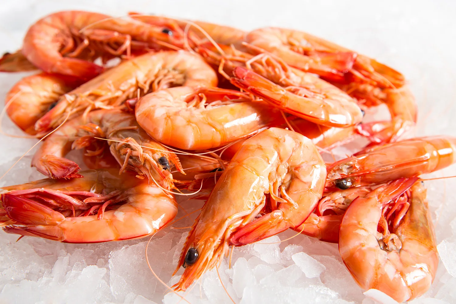 
Best quality best delicious frozen seafood crystal red shrimp for wholesale 