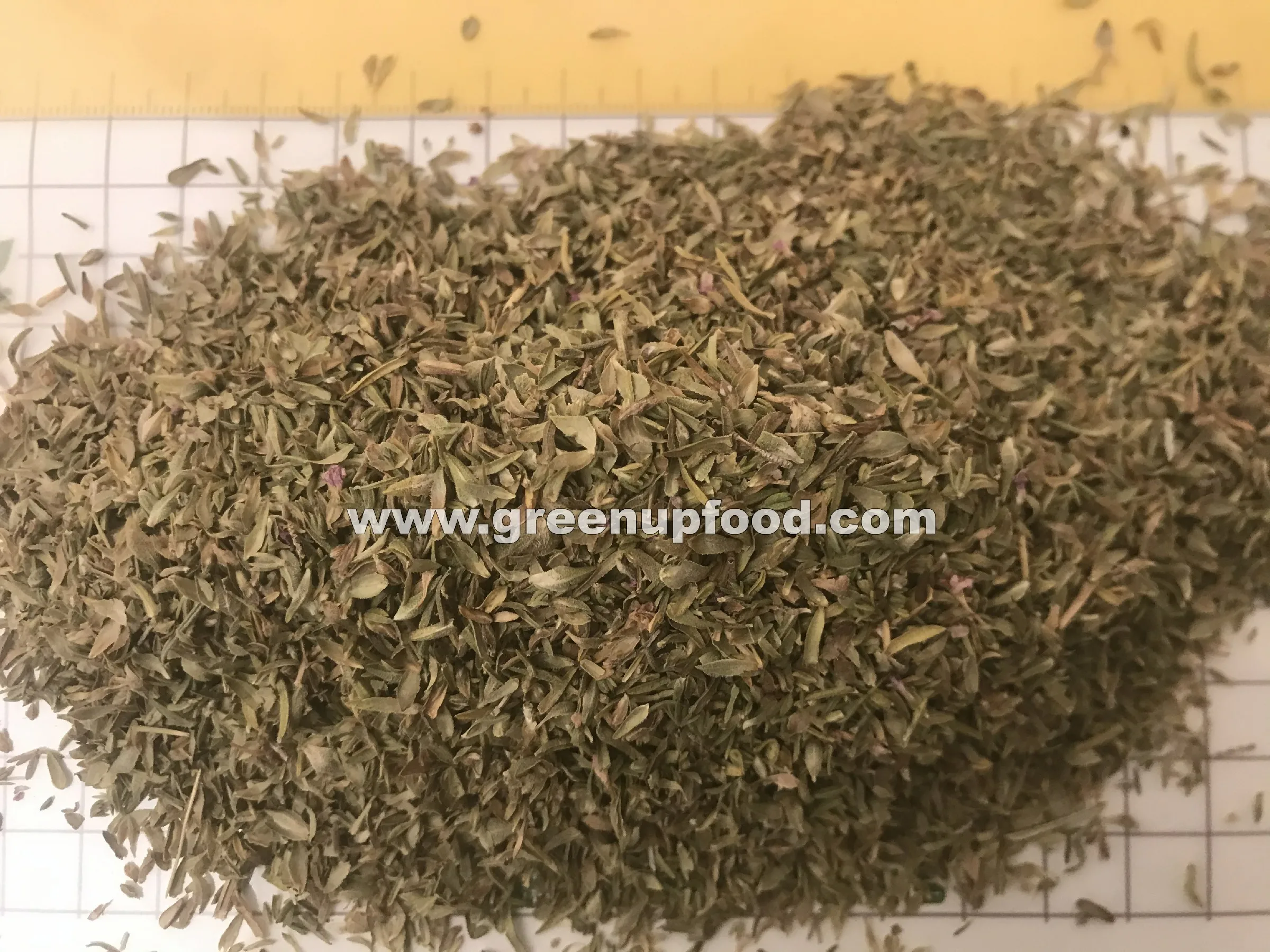 Листья орегано зеленого цвета без содержания золы без добавления ЧЕРНЫХ ЛИСТЬЕВ без примесей свежий урожай оригинальный обычный