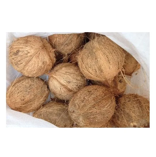 Оптовый Поставщик полуочищенного кокоса по низкой цене (11000001429864)