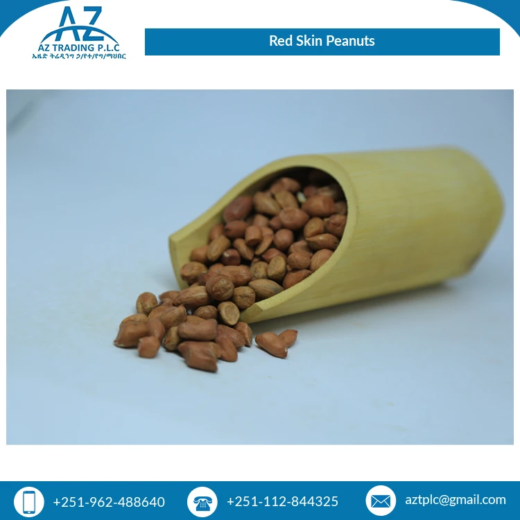 African Supplier Bulk Selling Huge Demand Quality Fresh Red Skin New Crop Peanuts