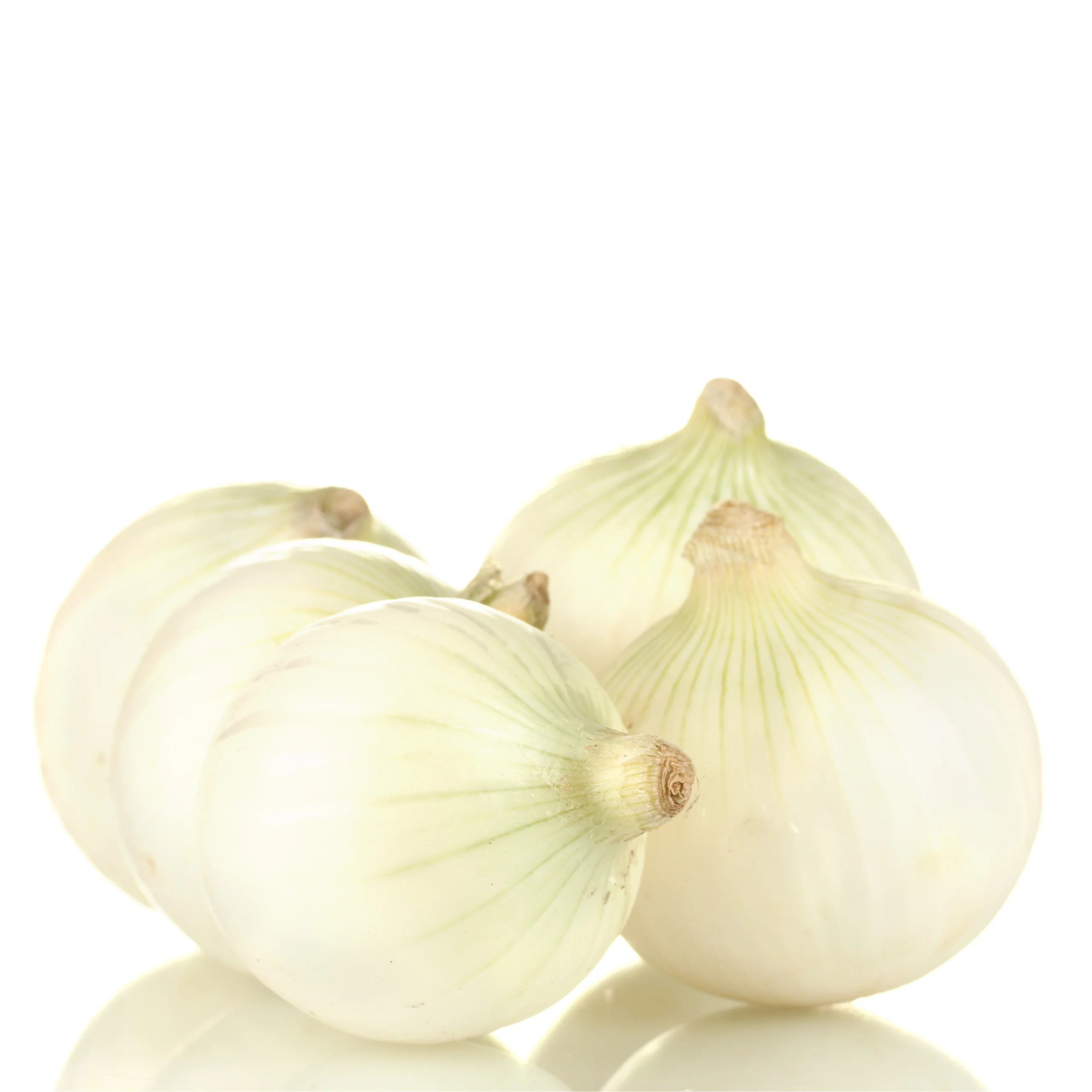 Белый лук-свежий высокое качество