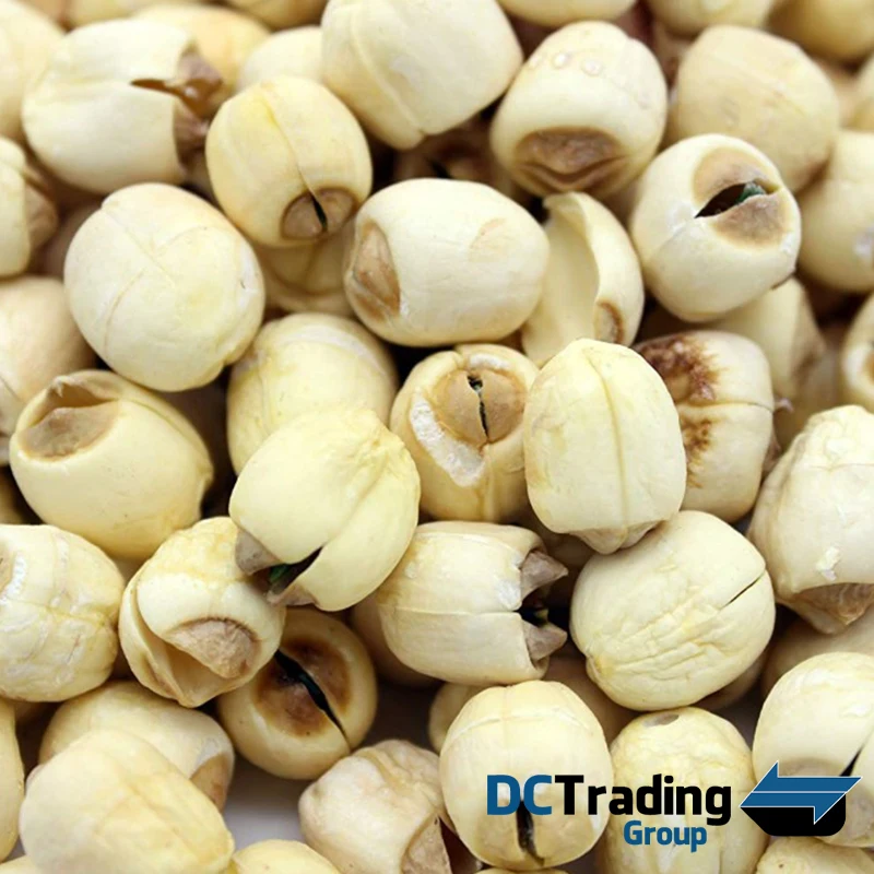 
High Quality White Natural Dried Lotus Seeds - Best Price For 100% Natural Lotus Seed - Dried Lotus Seeds From Vietnam 