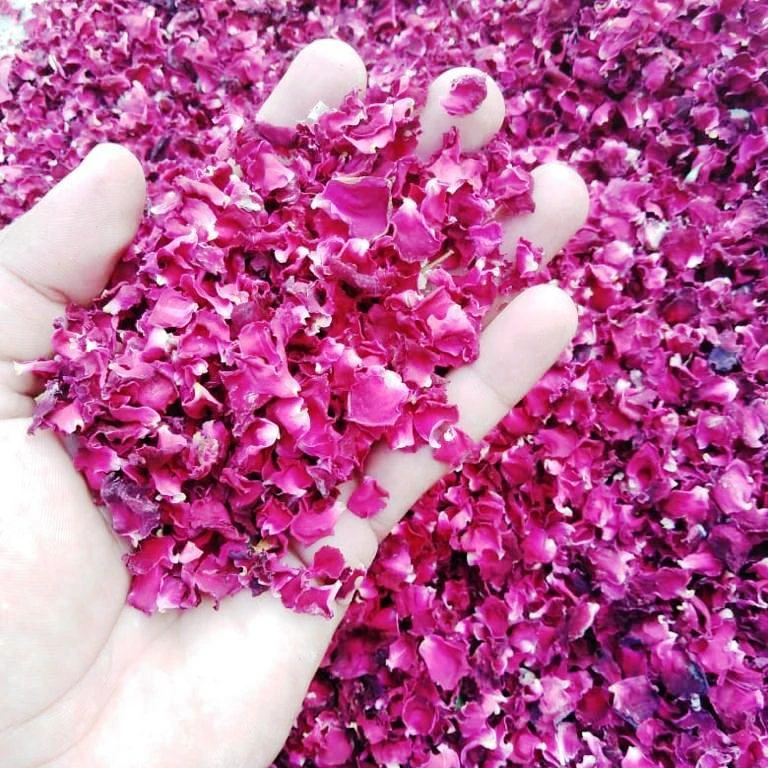 Dried Rose petals 100% natural