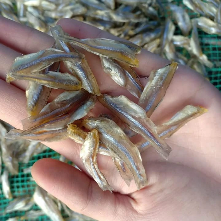 VIETNAMESE SUNDRIED ANCHOVY FISH FROM WITH GOOD PRICE//Sven + 84 966722357