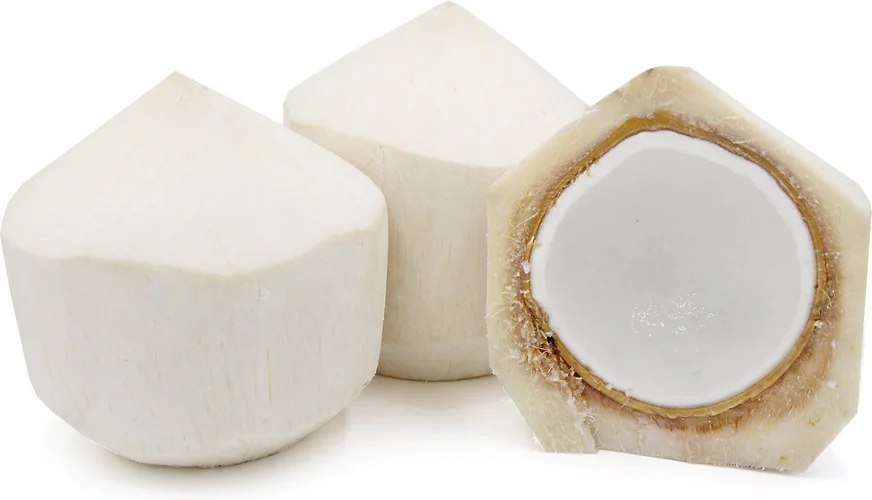 
100% Natural Fresh Coconut Young Coconut with High Quality for Wholesale Top Cover / Diamond cut / Round Shape Vietnam Coconut 