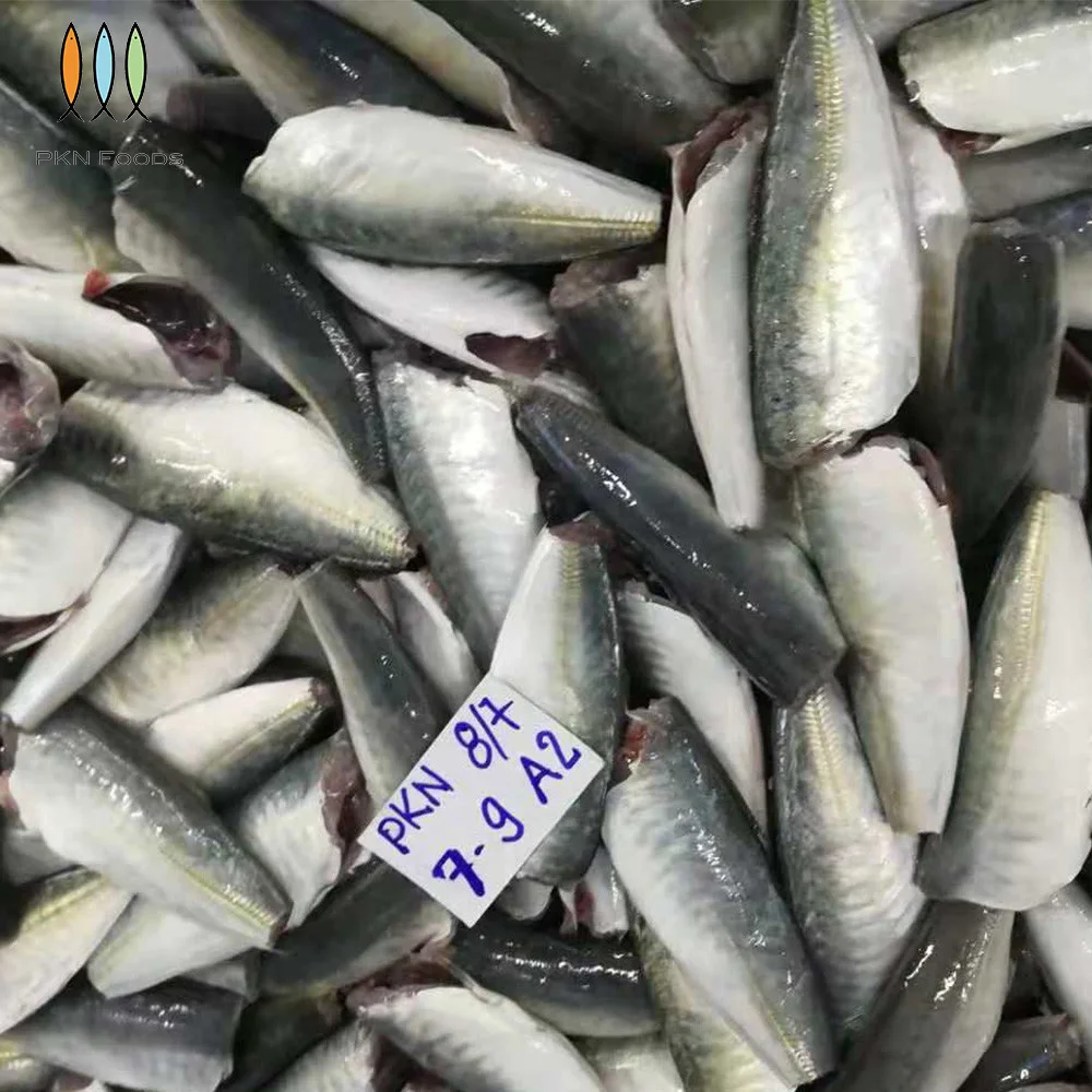 Whole Body Scad Fish BLOCK Frozen Seafood Seasonal Decapterus Maruadsi Round Scad HGT with 2 Years Shelf Life