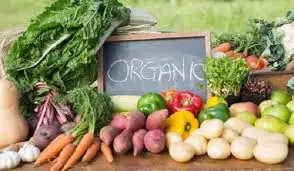 
Farm Fresh Indian Vegetables 