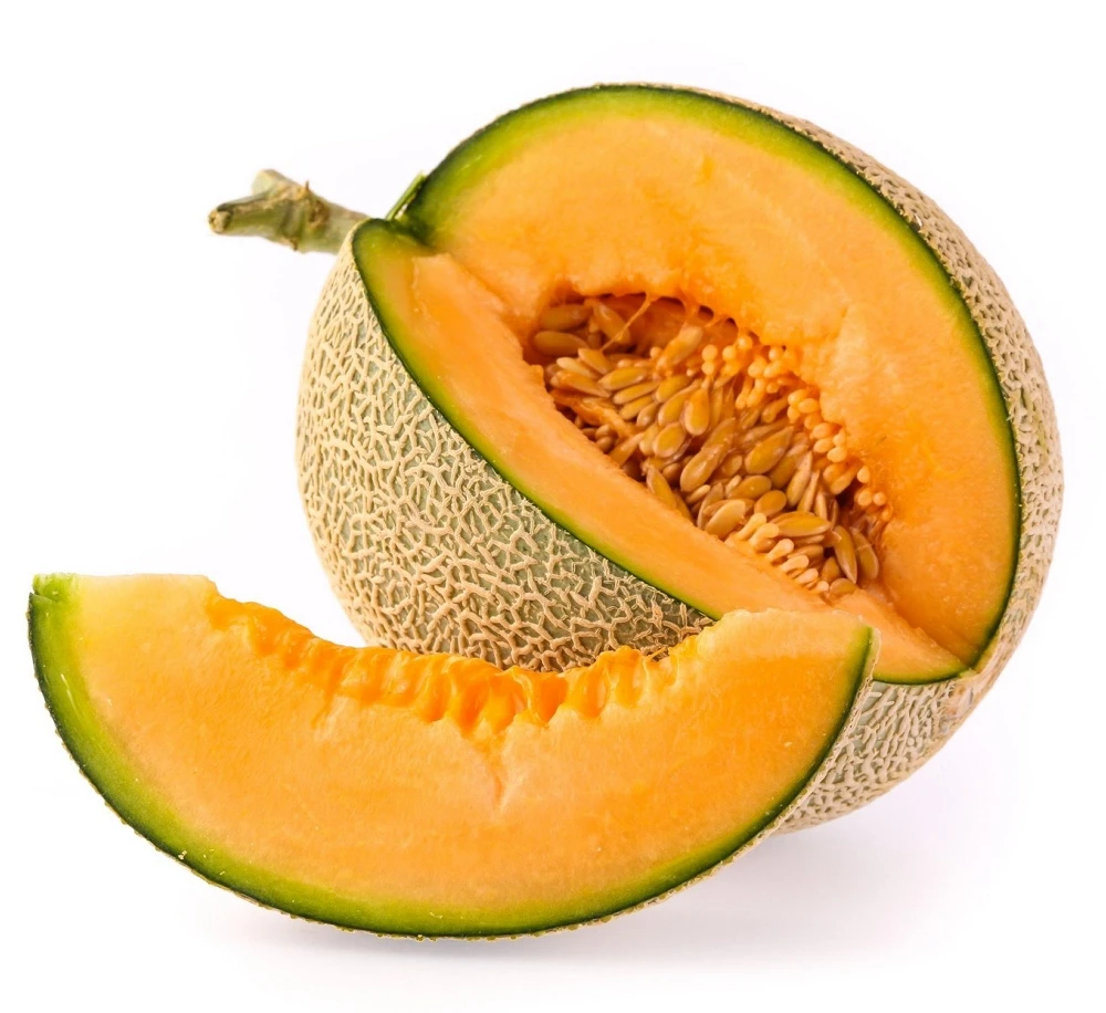 
Viet Nam Melon with High Quality For Sale 