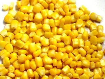 
yellow corn maize powder for poultry feed 