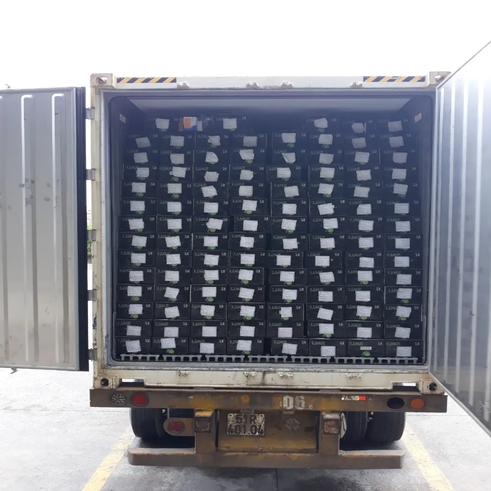 Year Round Lime Viet Nam Fresh Lemon bulk common
