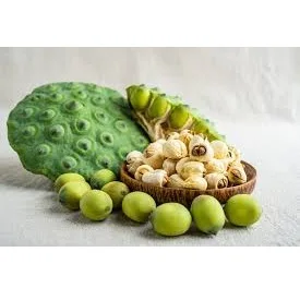 Wholesale Natural Healthy and Nutritious Flower Seeds White Fatty Tasty Fresh Peeled Lotus Seeds For Food/Cook From Vietnam
